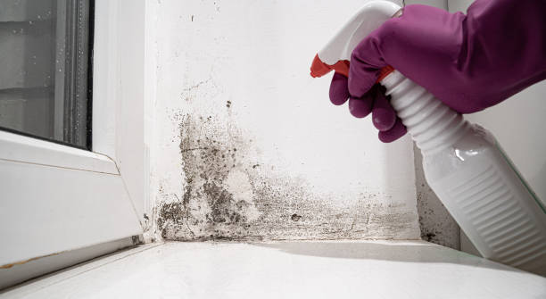 Best Water damage restoration near me  in Roanoke, VA